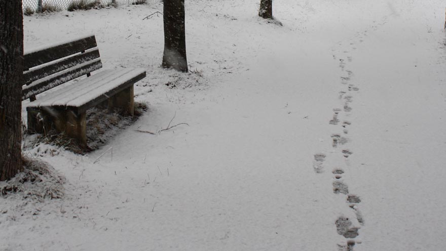 Fussspuren Im Schnee Archives Tiroler Hospiz Gemeinschaft