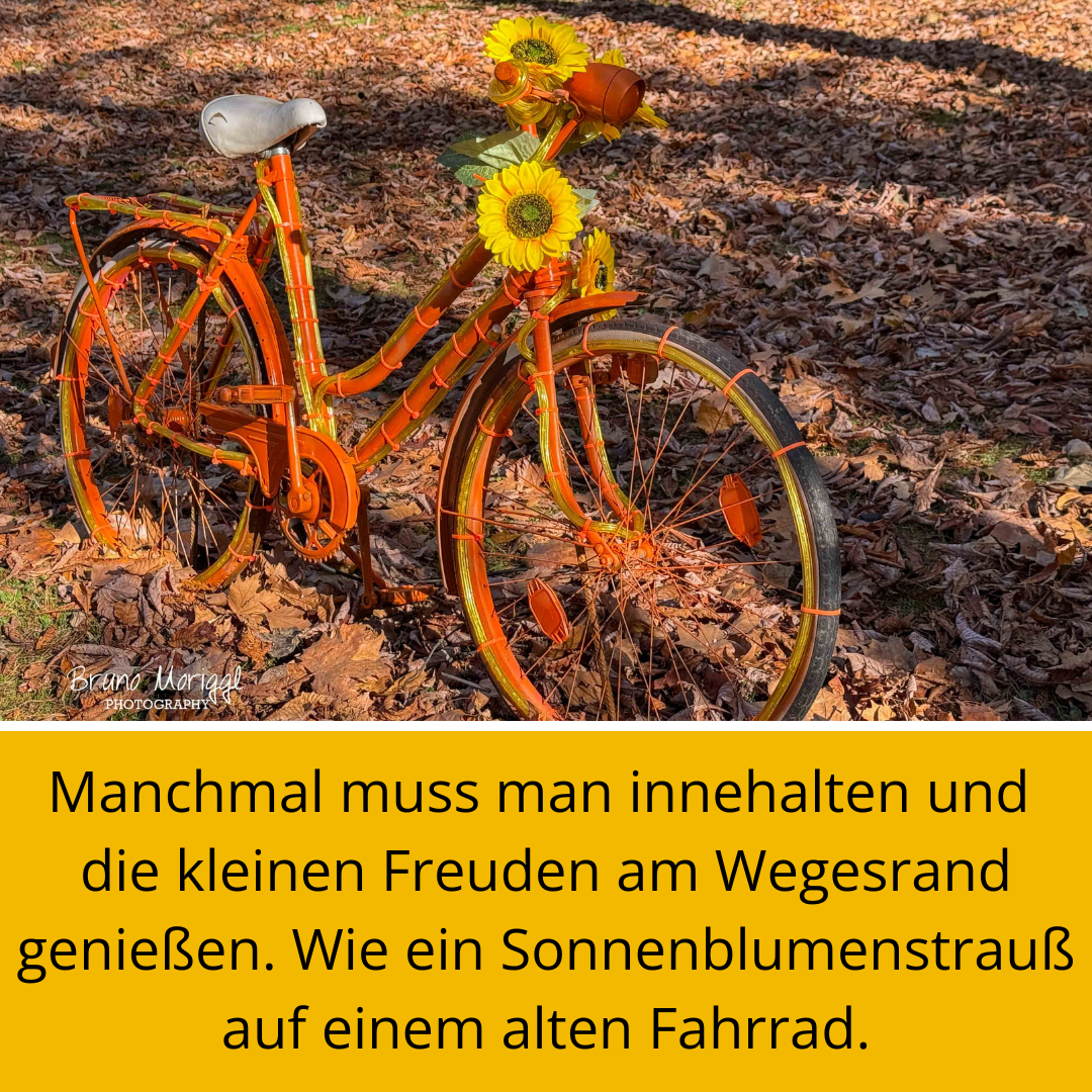 Fahrrad mit Sonnenblumen und Spruch