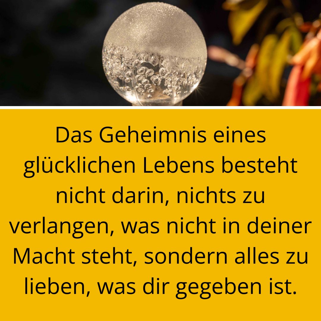 Foto mit Spruch zum Innehalten: Das Geheimnis glücklichen Lebens besteht nicht darin, nichts zu verlangen, was nicht in deiner Macht steht, sondern alles zu lieben, was dir gegeben ist.