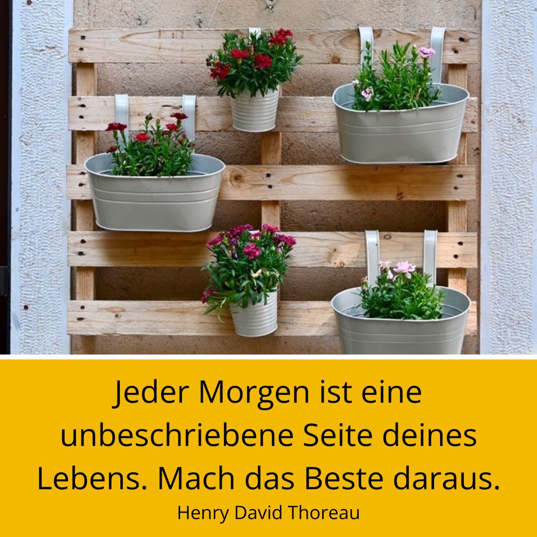 Pflanzen in Töpfen an Wand mit Spruch "Jeder Morgen"