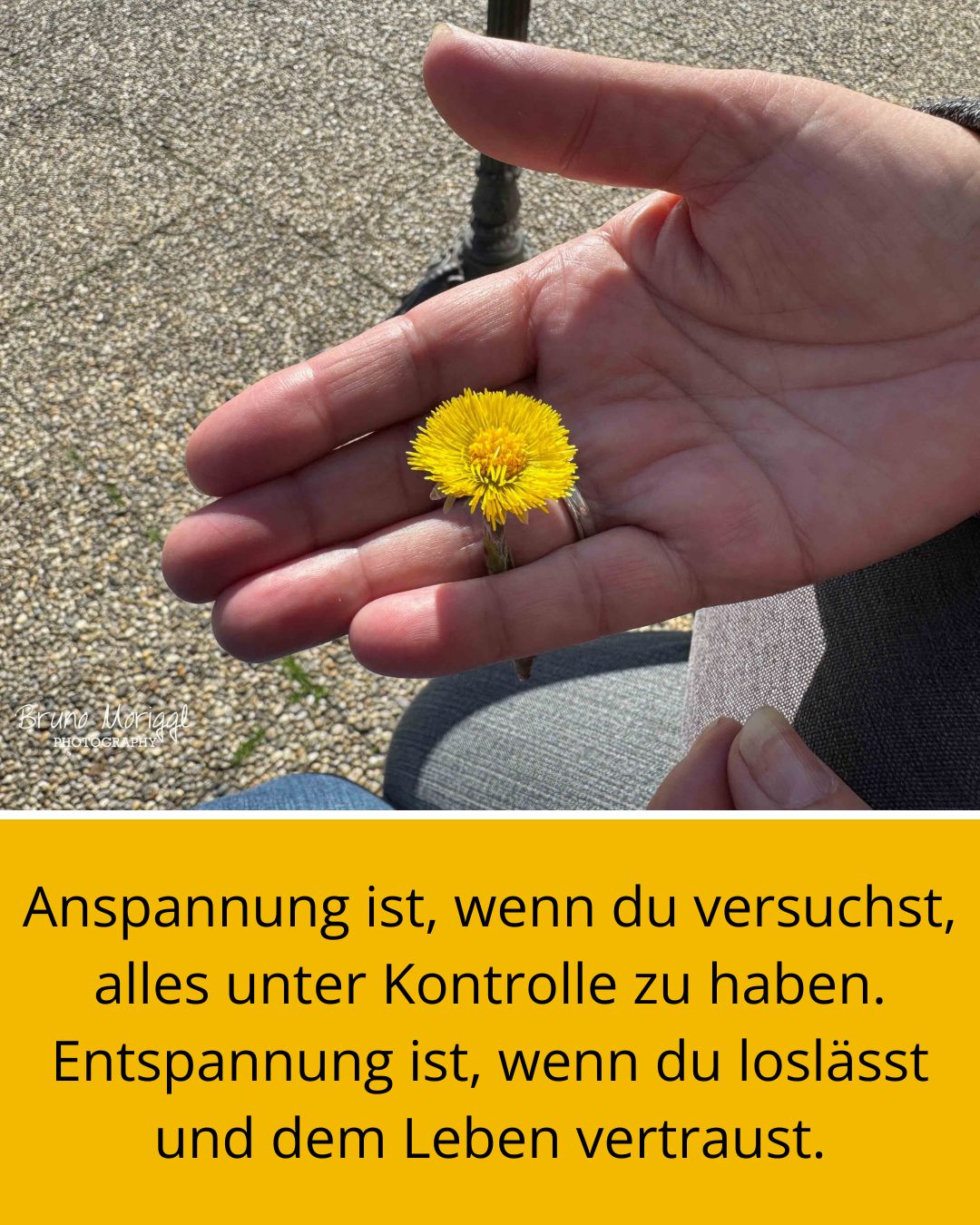 Foto von Blume in Hand mit Spruch